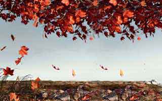 拍摄故宫技巧拍摄故宫的最佳位置