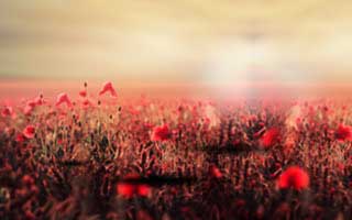 拍摄故宫技巧拍摄故宫的最佳位置